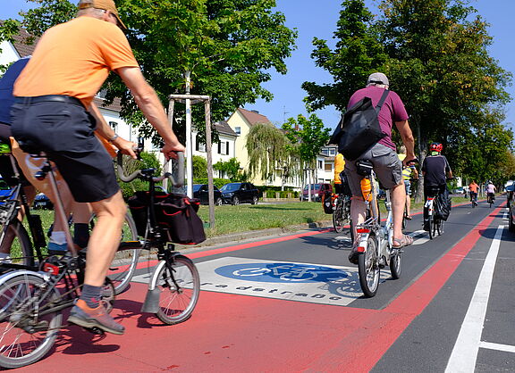 Eine neu markierte Fahrradstraße in Bonn. Man sieht mehrere Radfahrer:innen. 