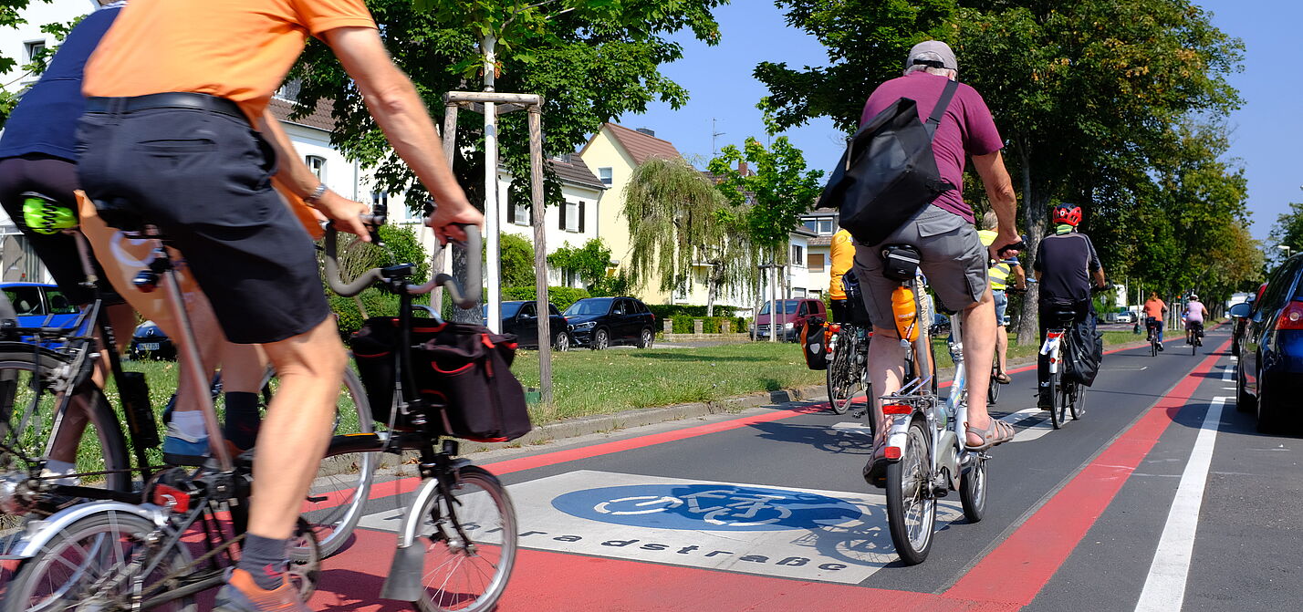 Eine neu markierte Fahrradstraße in Bonn. Man sieht mehrere Radfahrer:innen. 