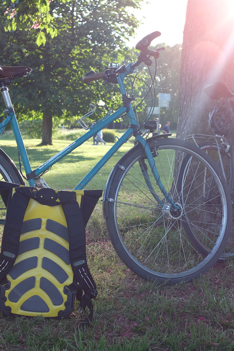 Die Sonne genießen. Die Sonne genießen.