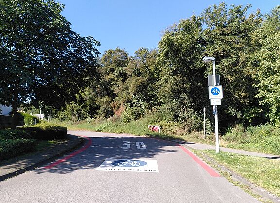 Das Bild zeigt eine Fahrradstraße. Am Wegesrand sind Büsche und Bäume zu sehen. Auf der Straße ist eine große "30" aufgemalt. Auf einem Schild am Straßenrand steht "Fahrradstraße".